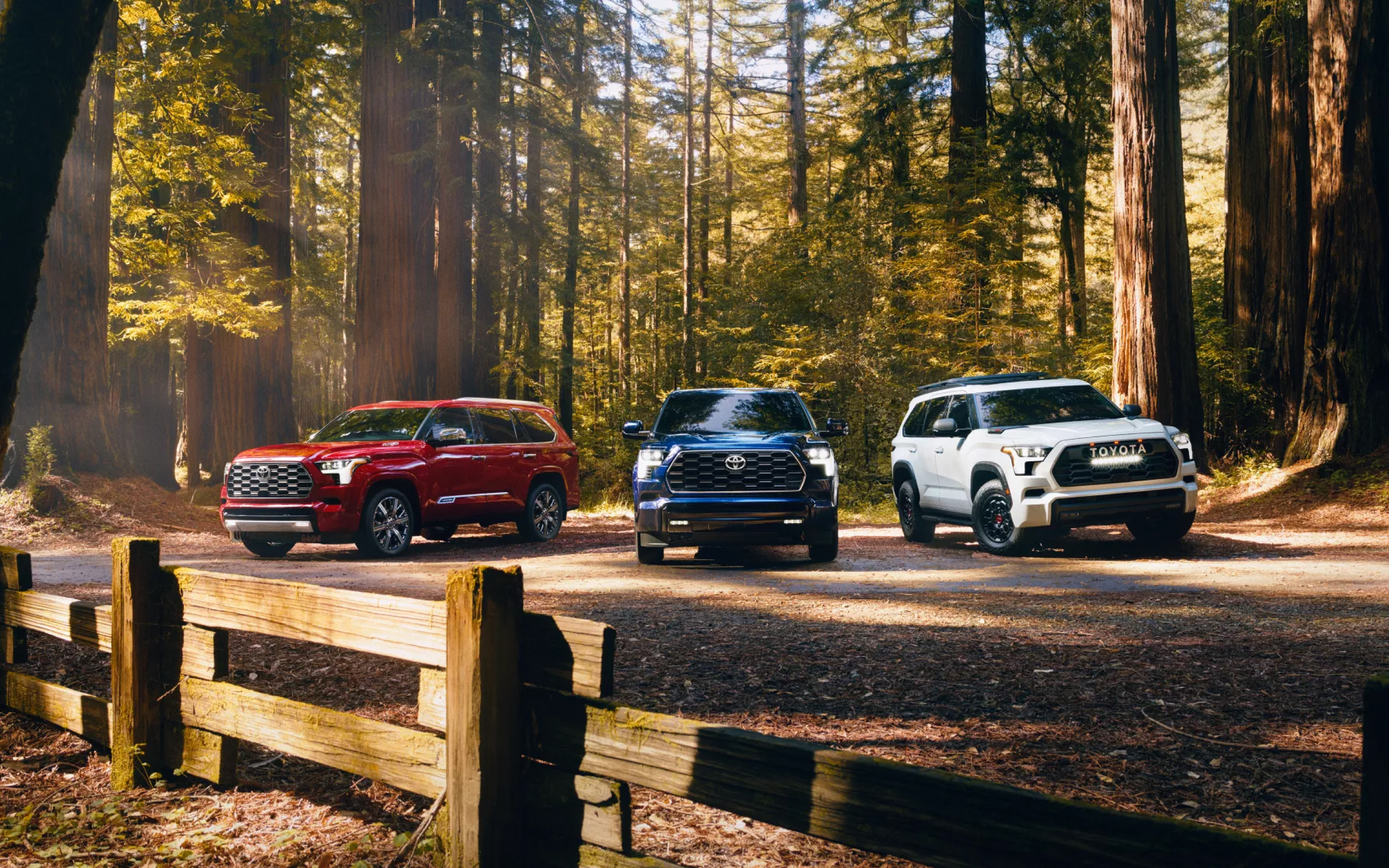 2025 Sequoia & Tundra